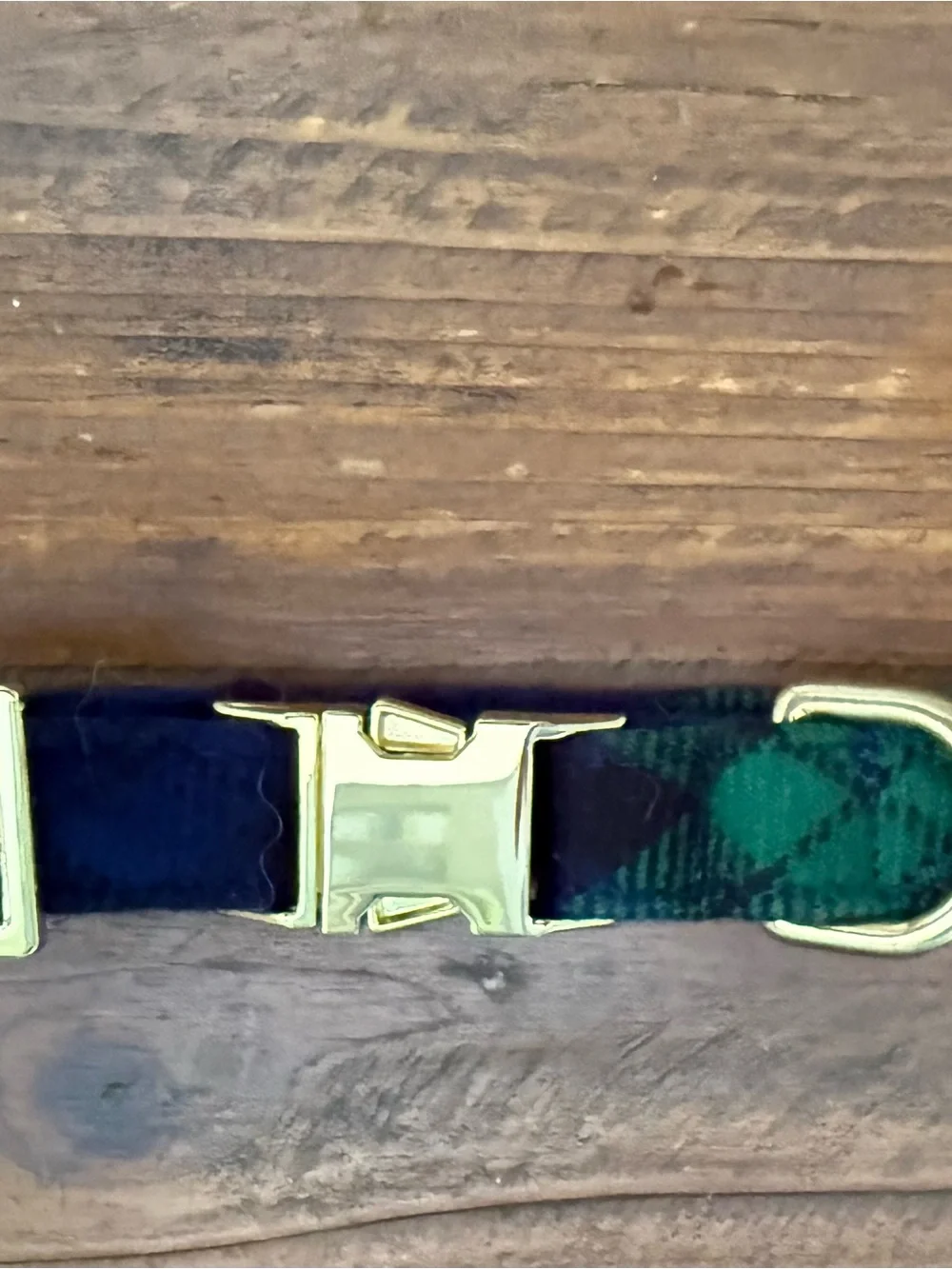 The Foggy Dog Green/ Navy Plaid Collar with Gold Hardware Sz Small